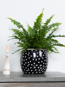 Горшок-кашпо для растений черный MBM MY HOME модель DH-FLOWERS-27 BLACK Фото