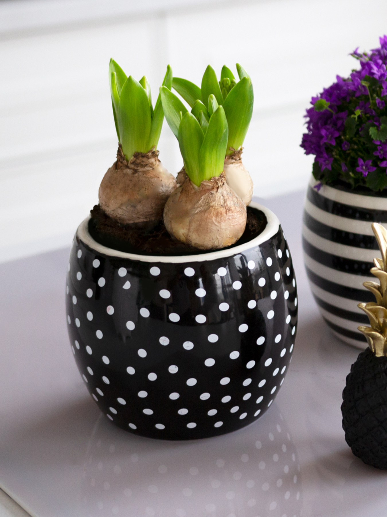 Горшок-кашпо для растений черный MBM HOME модель DH-FLOWERS-27 BLACK Фото