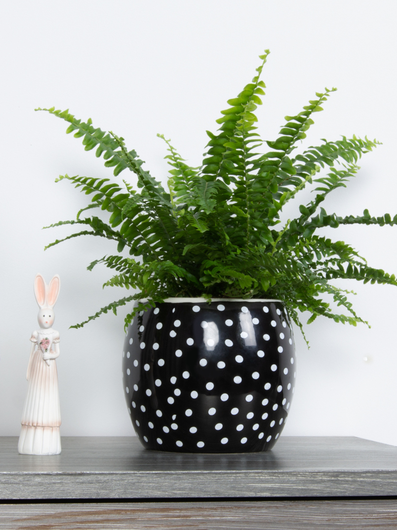 Горшок-кашпо для растений черный MBM HOME модель DH-FLOWERS-27 BLACK Фото