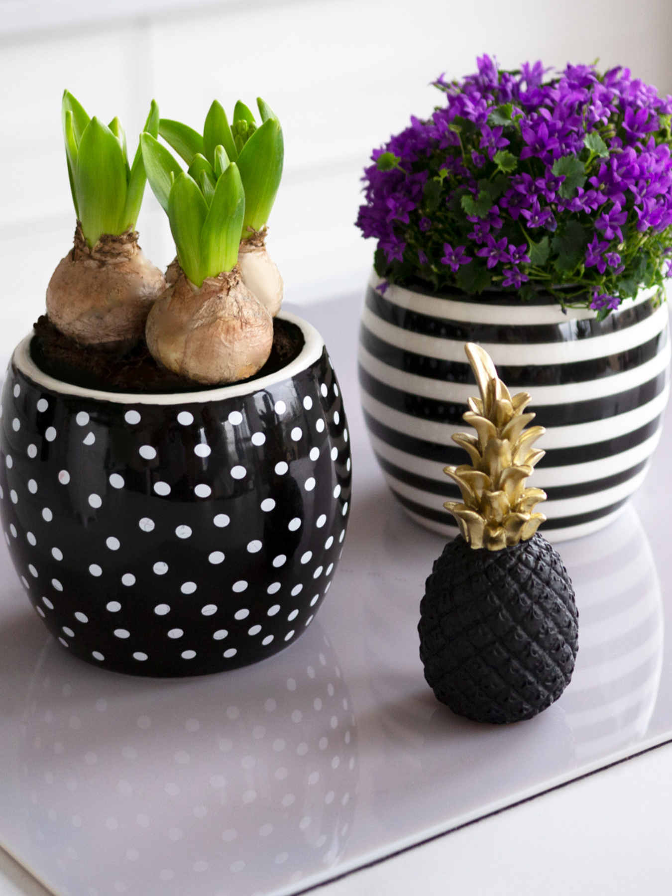 Горшок-кашпо для растений черно-белый MBM MY HOME модель DH-FLOWERS-27 WHITE/BLACK Фото