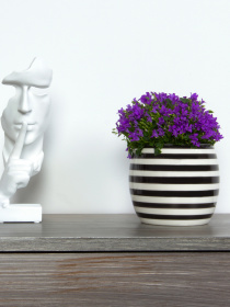 Горшок-кашпо для растений черно-белый MBM MY HOME модель DH-FLOWERS-27 WHITE/BLACK Фото