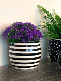 Горшок-кашпо для растений черно-белый MBM MY HOME модель DH-FLOWERS-27 WHITE/BLACK Фото