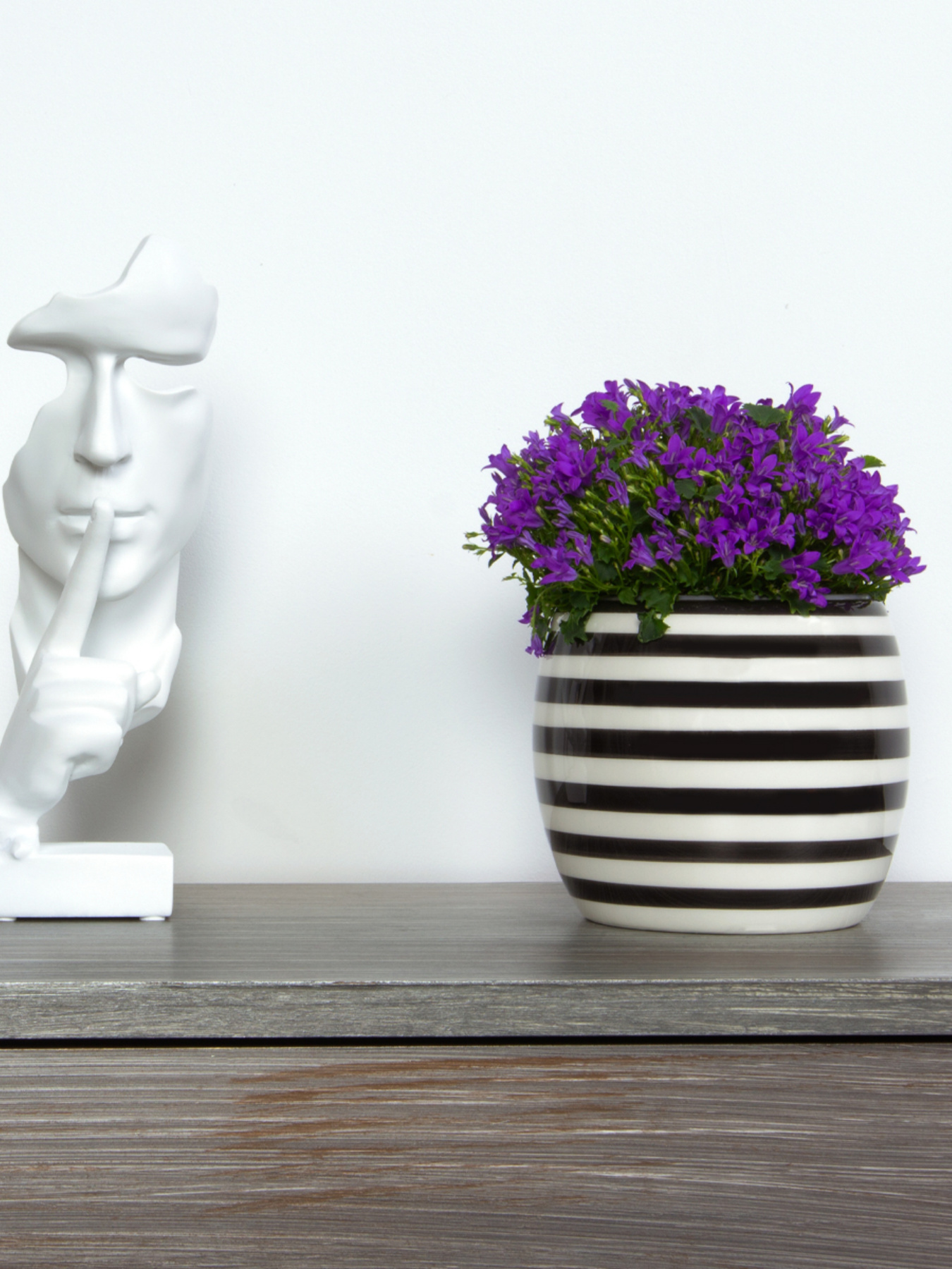 Горшок-кашпо для растений черно-белый MBM HOME модель DH-FLOWERS-27 WHITE/BLACK Фото