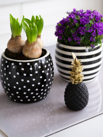 Горшок-кашпо для растений черно-белый MBM HOME модель DH-FLOWERS-27 WHITE/BLACK Фото