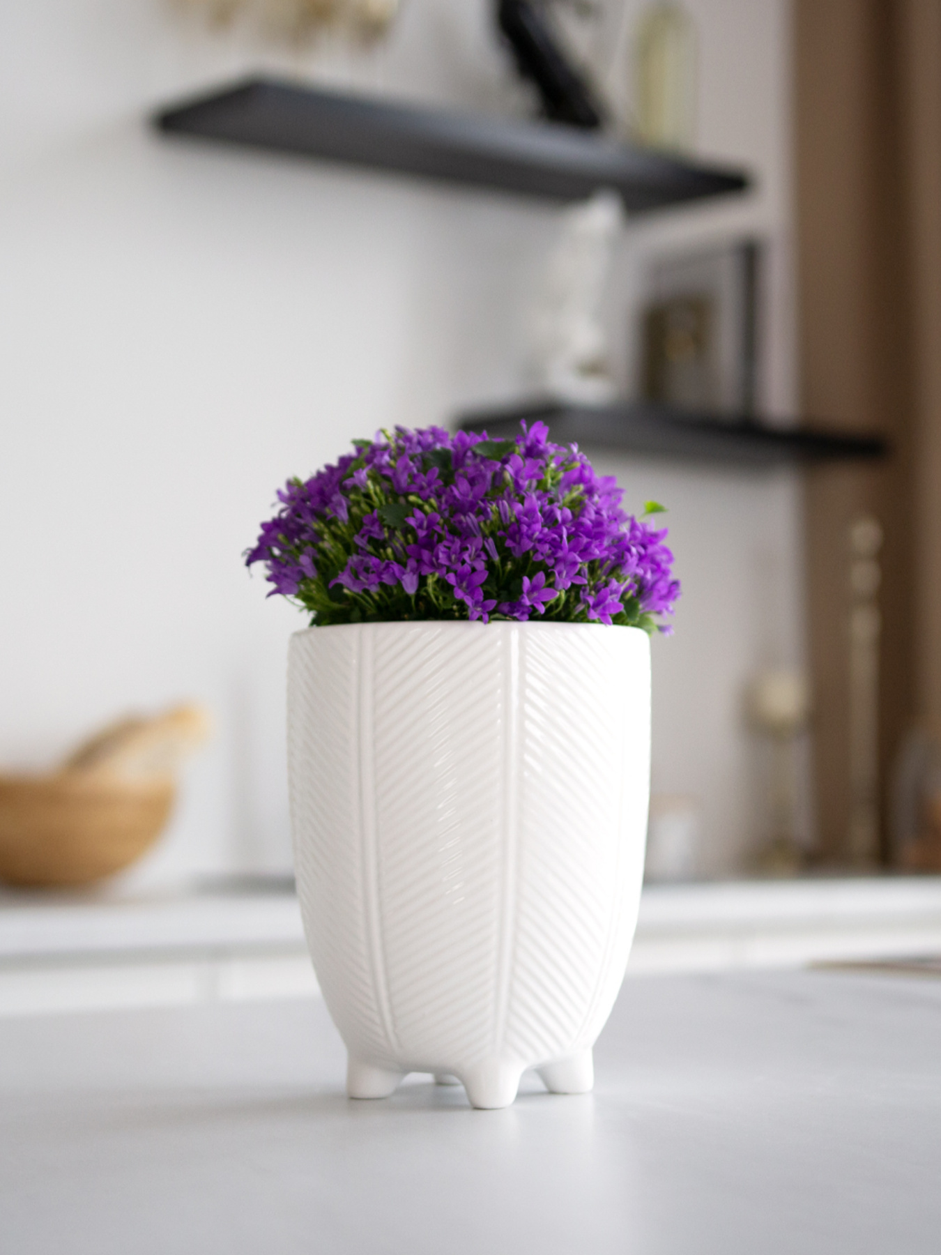 Горшок-кашпо для растений белый MBM MY HOME модель DH-FLOWERS-28 M WHITE Фото