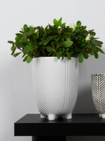 Горшок-кашпо для растений белый MBM MY HOME модель DH-FLOWERS-28 M WHITE Фото