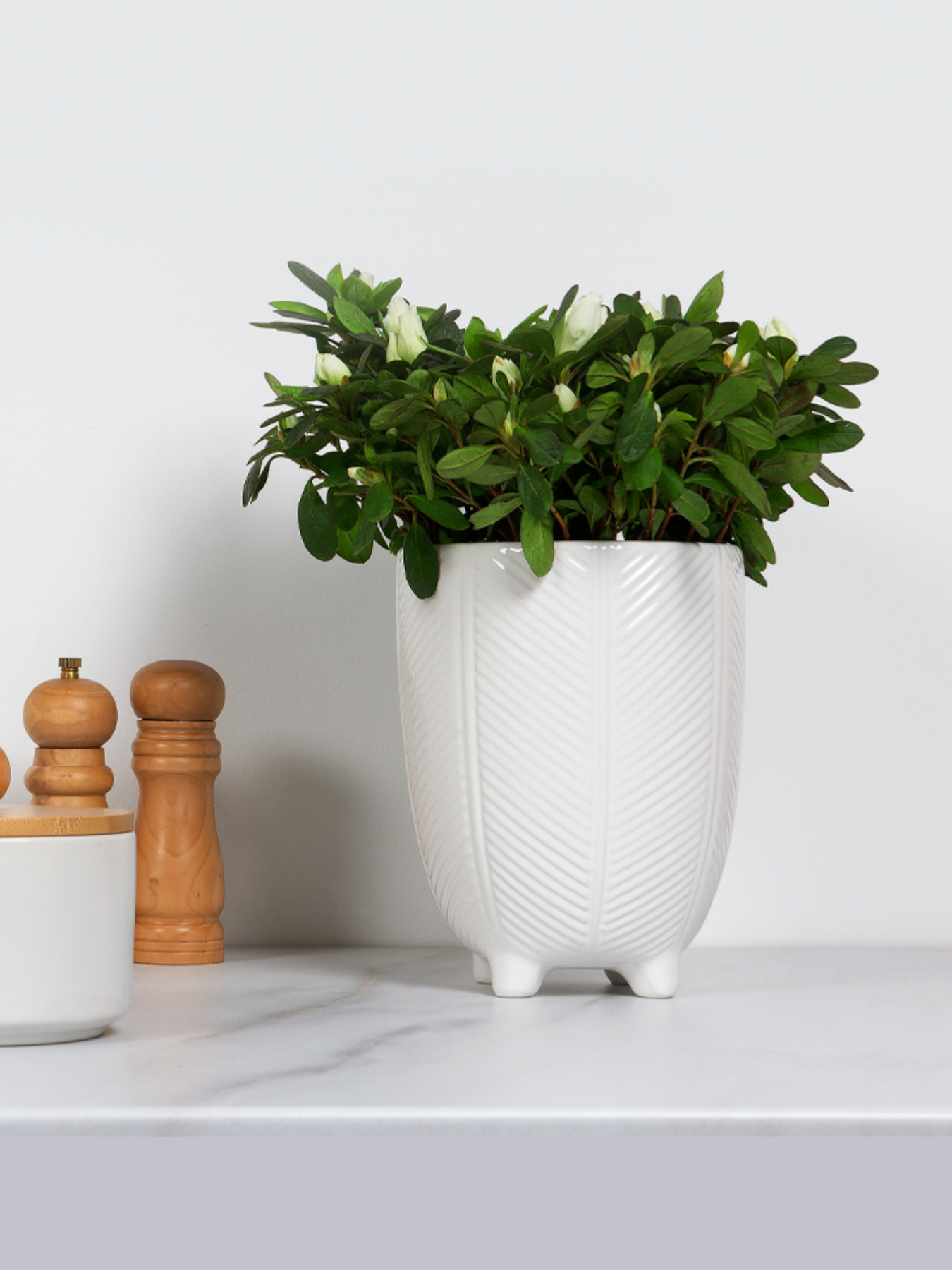 Горщик-кашпо для рослин білий MBM HOME модель DH-FLOWERS-28 M WHITE Фото