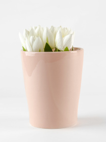 Горшок-кашпо для растений розовый MBM MY HOME модель DH-FLOWERS-29 PINK Фото