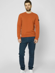 Джемпер Pierre Cardin модель C5 40510.4034.8115 Фото