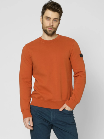 Джемпер Pierre Cardin модель C5 40510.4034.8115 Фото