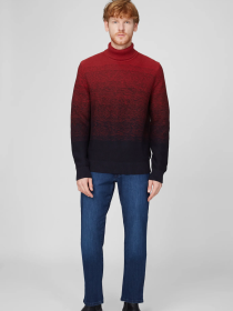 Водолазка Pierre Cardin модель C5 50633.5044.4221 Фото