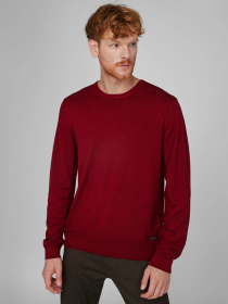 Джемпер Pierre Cardin модель C5 50700.5037.4301 Фото