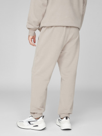 Штаны спортивные PRPY модель PMSPPGOK0013 Фото