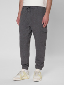 Штаны спортивные PRPY модель PMSPPGOK0014 Штаны спортивные PRPY модель PMSPPGOK0014 Фото