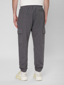 Штаны спортивные PRPY модель PMSPPGOK0014 Штаны спортивные PRPY модель PMSPPGOK0014 Фото