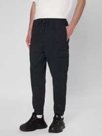 Штани спортивні PRPY модель PMSPPGOK0014 Фото