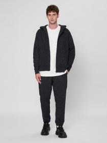 Штани спортивні PRPY модель PMSPPGOK0019 Фото