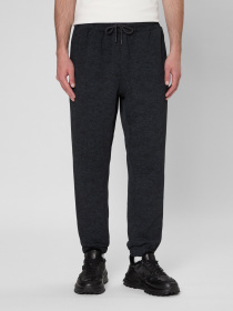 Штани спортивні PRPY модель PMSPPGOK0019 Фото