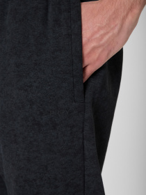 Спортивні штани PRPY модель PMSPPGOK0020 Фото