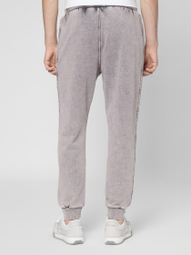 Спортивні штани PRPY модель PMSPPGOK0024 Фото