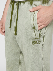 Спортивні штани PRPY модель PMSPPGOK0024 Фото