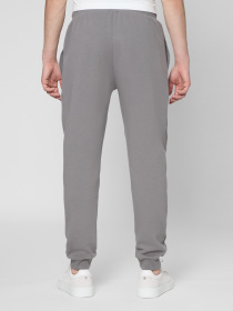 Штаны спортивные PRPY модель PMSPPHZE0022 Фото