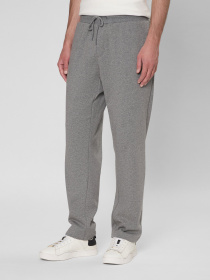 Штаны спортивные PRPY модель PMSPPPPF0022 Штаны спортивные PRPY модель PMSPPPPF0022 Фото