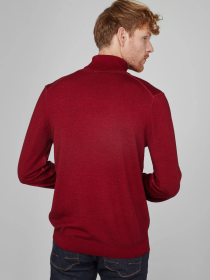 Водолазка Pierre Cardin модель C5 50703.5037.4301 Фото