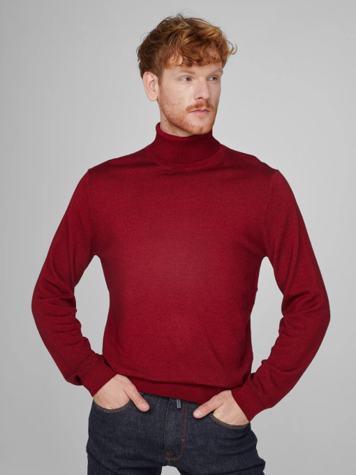 Водолазка Pierre Cardin модель C5 50703.5037.4301 Фото