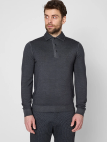 Джемпер Pierre Cardin модель C5 50704.5037.9002 Фото