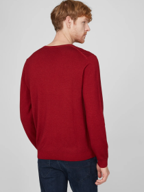 Джемпер Pierre Cardin модель C5 50710.5038.4301 Фото