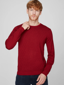 Джемпер Pierre Cardin модель C5 50710.5038.4301 Фото