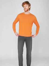 Джемпер Pierre Cardin модель C5 50940.5060.3113 Фото