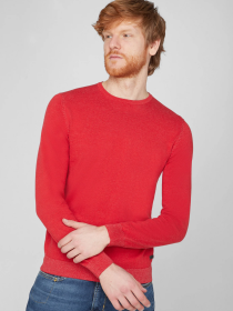 Джемпер Pierre Cardin модель C5 50940.5060.4113 Фото