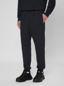 Штани спортивні PRPY модель PMSPPGOK0012 Фото