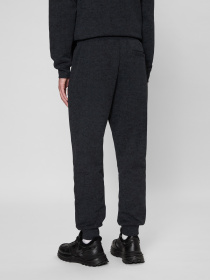 Штани спортивні PRPY модель PMSPPGOK0012 Фото