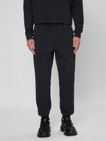 Штани спортивні PRPY модель PMSPPGOK0012 Фото