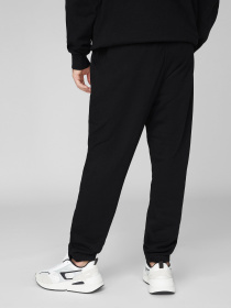 Штаны спортивные PRPY модель PMSPPGOK0013 Фото