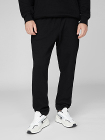 Штаны спортивные PRPY модель PMSPPGOK0013 Фото