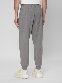 Брюки PRPY модель PMSPPPPF0021 Фото