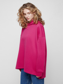 Худі та світшоти PRPY модель PWSPOGOK0040 Фото