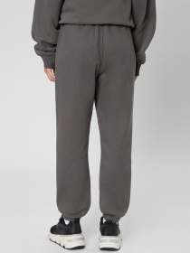 Спортивні штани PRPY модель PWSPPGOK0029 Фото