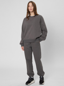 Спортивні штани PRPY модель PWSPPGOK0029 Фото