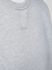 Худи и свитшоты PRPY модель PWSPOGOK0043 Фото