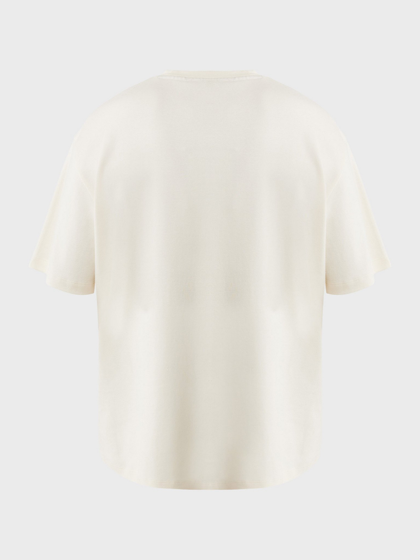 Футболки і поло MEXX модель MF007800251M Фото