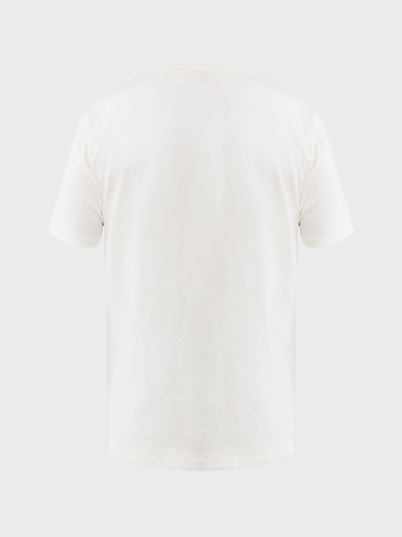 Футболки и поло MEXX модель MF007801251M Фото