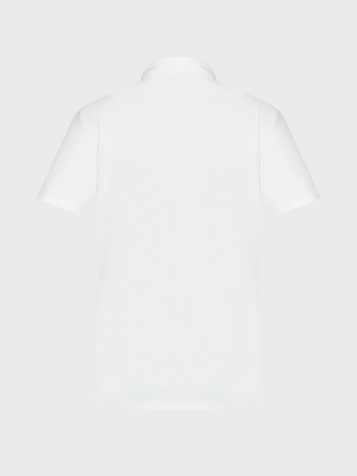 Футболки і поло MEXX модель MF007100441M Фото