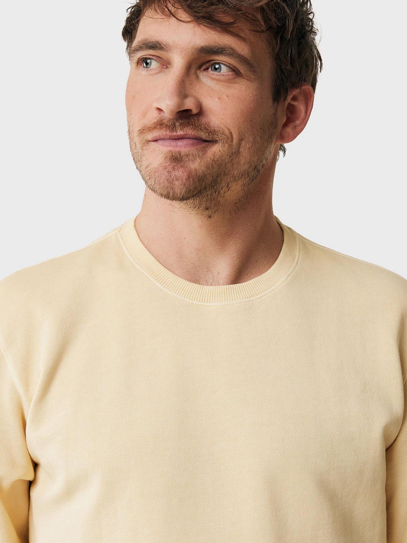 Худи и свитшоты MEXX модель MF007504141M Фото