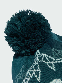 Шапка Adidas модель JW0882 Фото