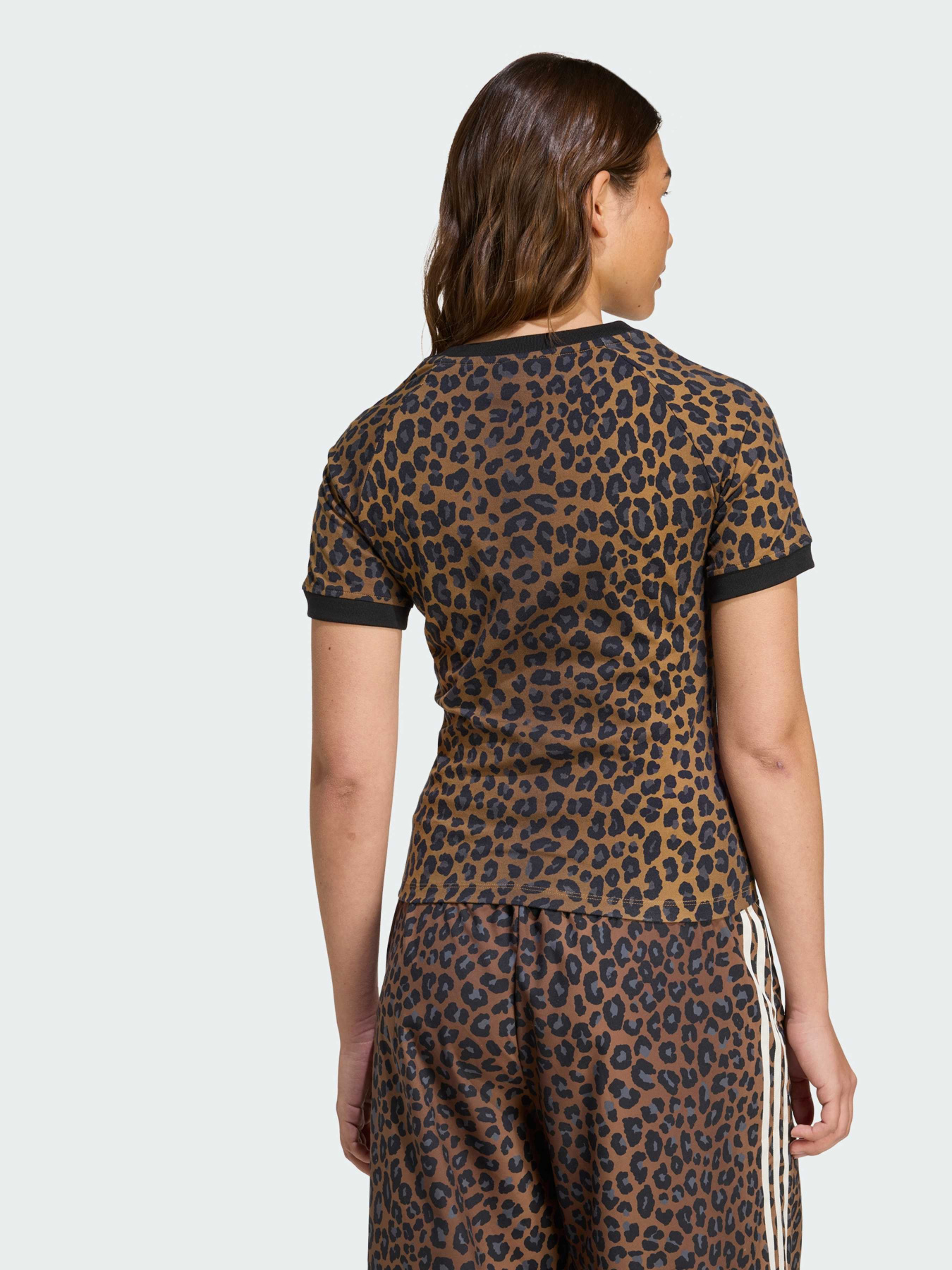 Футболка Adidas Superstar модель JW7304 Фото